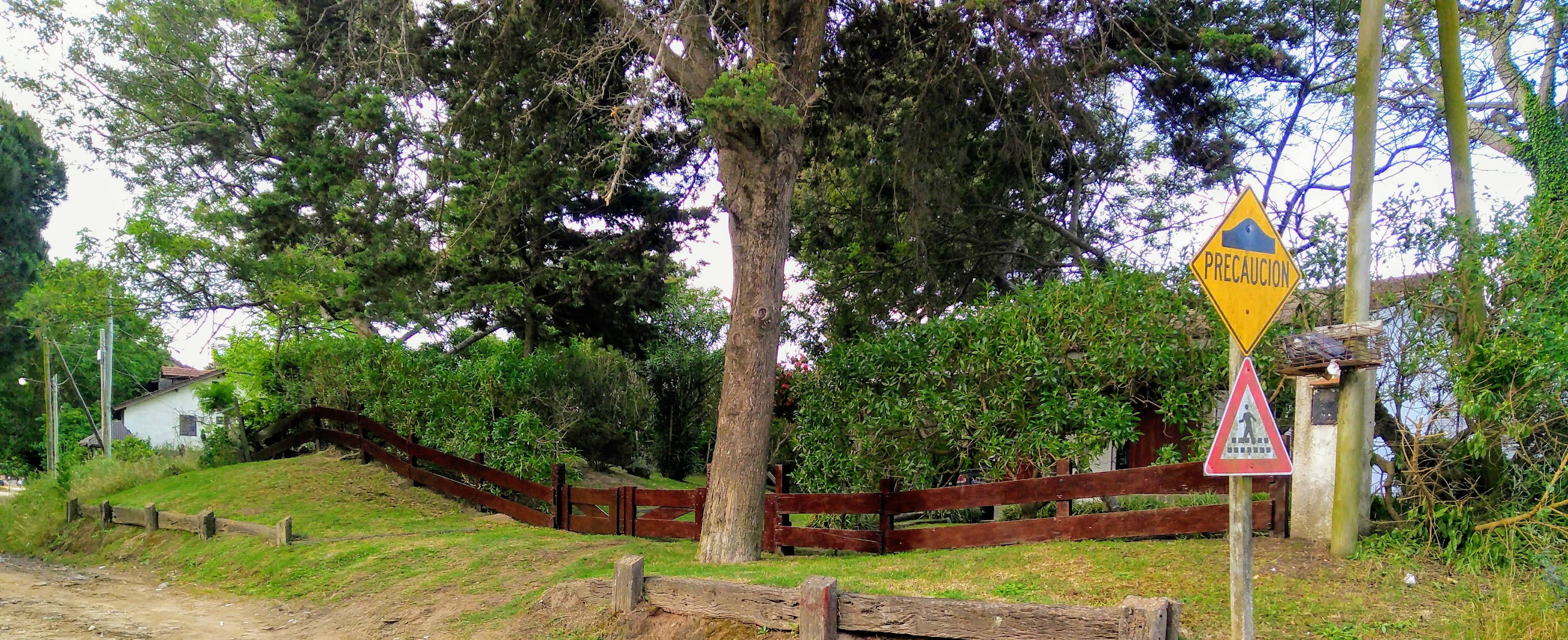 WhatsApp Image 2025-05-16 at 15.49.22.jpeg